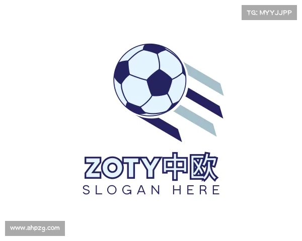 了解zoty中欧